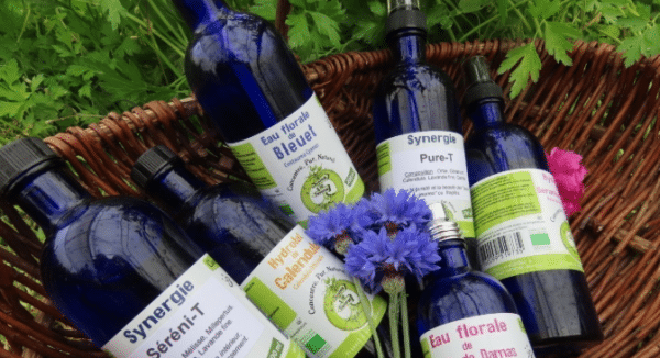 VALENE LEBEL OU LE LIEN INDEFECTIBLE AU VIVANT